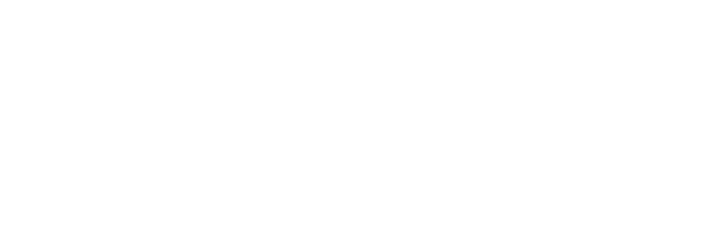 Visionair